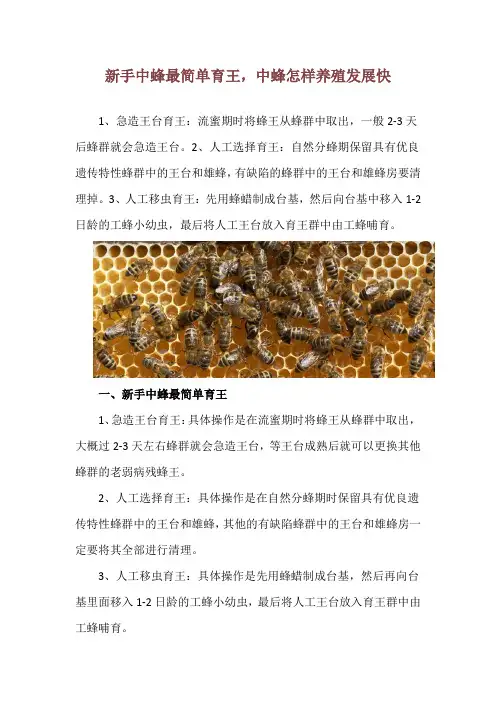 新手中蜂最简单育王,中蜂怎样养殖发展快