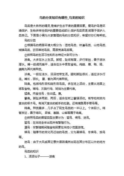 鸟的分类知识有哪些_鸟类的知识