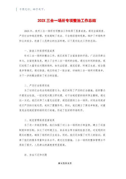 202X三合一场所专项整治工作总结