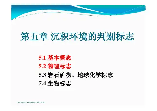5 沉积环境的判别标志