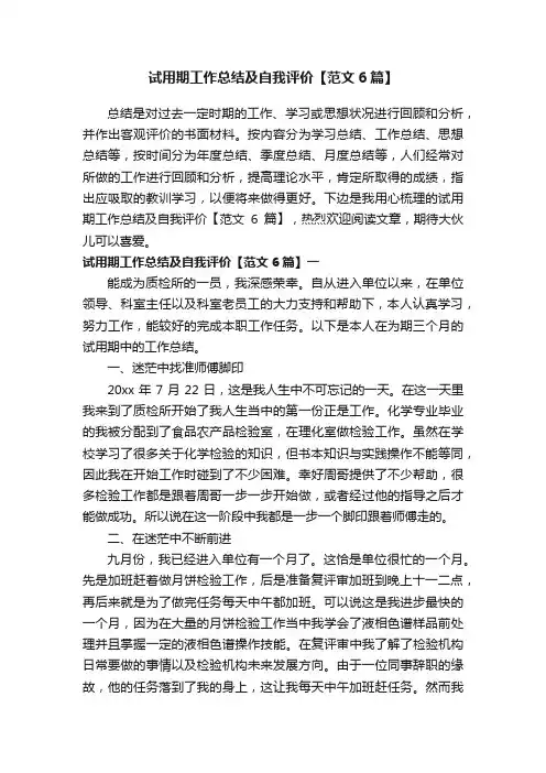 试用期工作总结及自我评价【范文6篇】