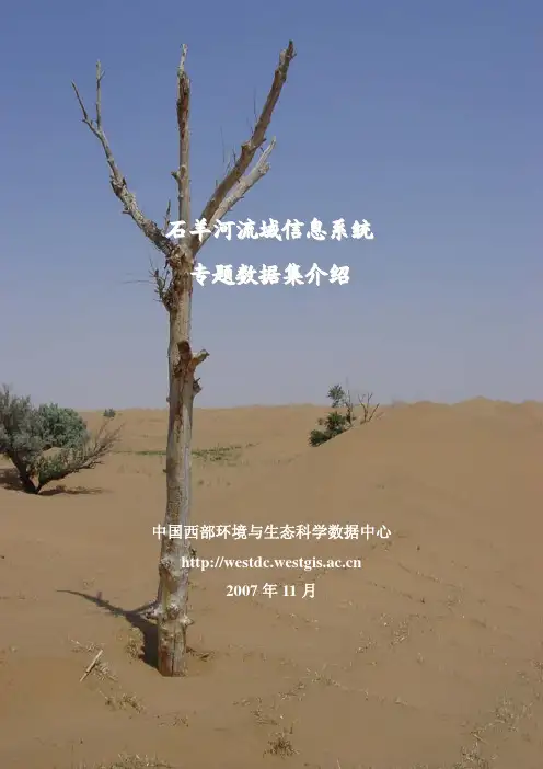 石羊河流域数据集介绍