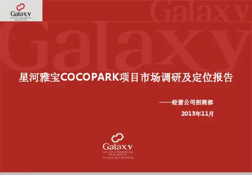 星河雅宝CCP市场调研及定位报告(终)