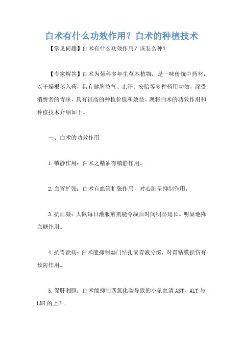 白术有什么功效作用？白术的种植技术