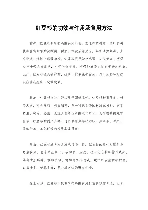 红豆杉的功效与作用及食用方法