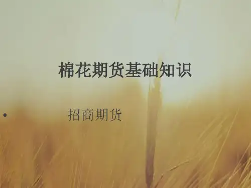 棉花期货基础知识.ppt