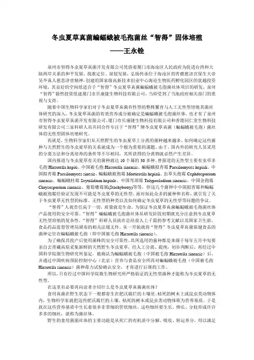 冬虫夏草真菌蝙蝠蛾被毛孢菌丝“智得”培殖