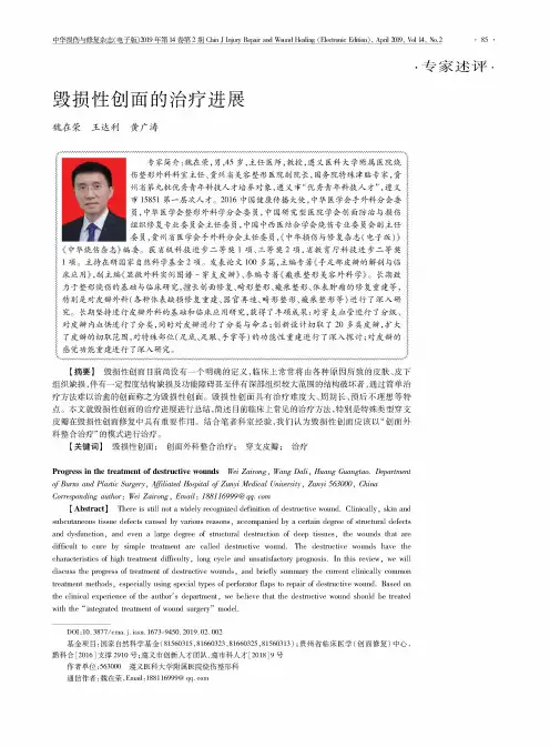 毁损性创面的治疗进展