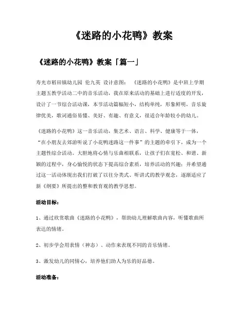 《迷路的小花鸭》教案