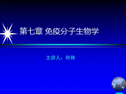 免疫分子生物学_免疫球蛋白ppt课件