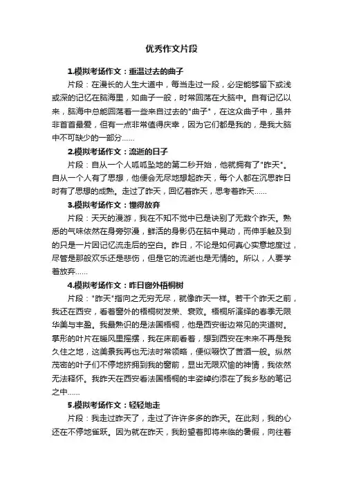 优秀作文片段24篇