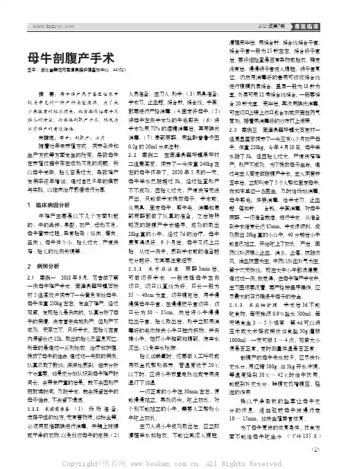 母牛剖腹产手术