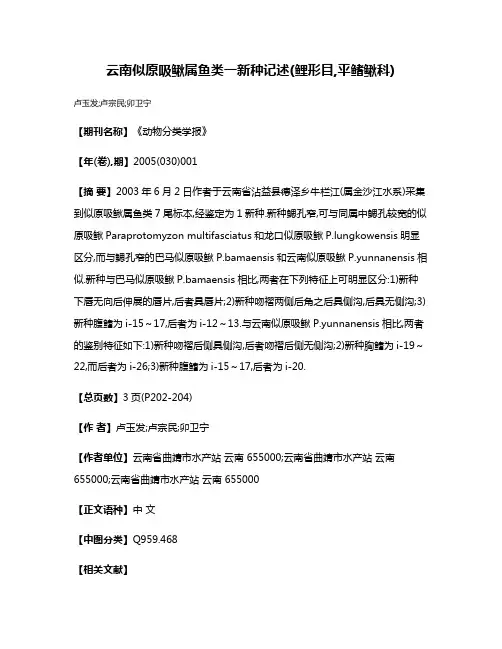 云南似原吸鳅属鱼类一新种记述(鲤形目,平鳍鳅科)
