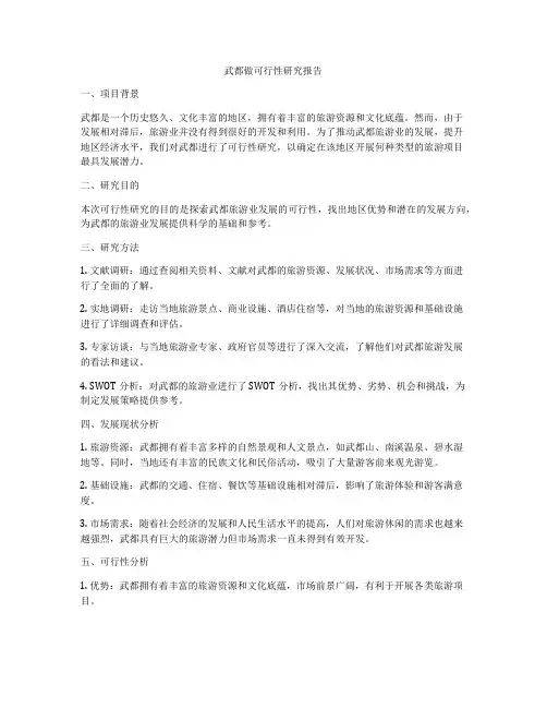 武都做可行性研究报告