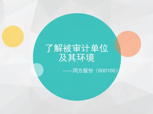 审计理论与实务案例分析
