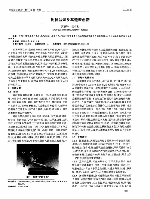 树桩盆景及其造型创新