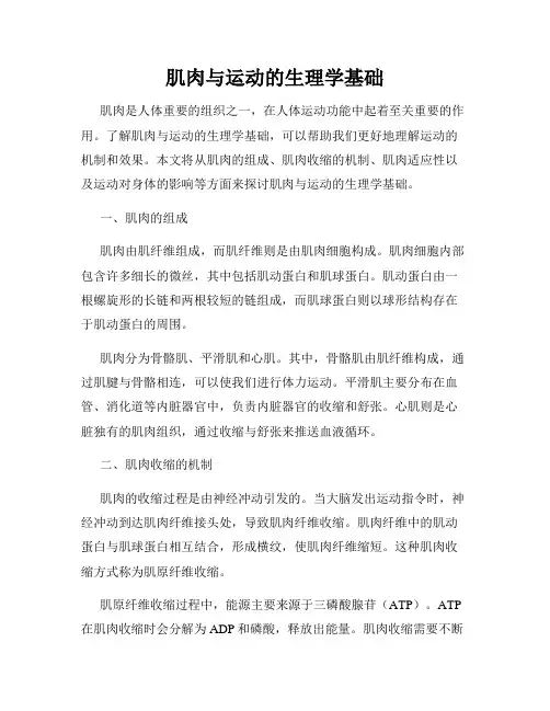 肌肉与运动的生理学基础