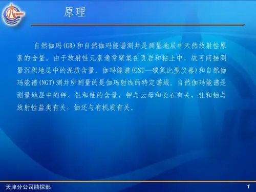 自然伽玛测井