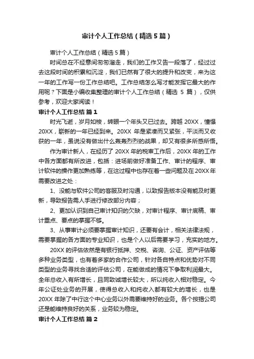 审计个人工作总结（精选5篇）