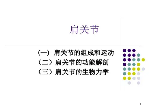 肩关节ppt课件