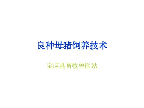 生猪饲养技术