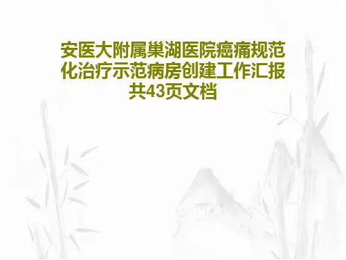 安医大附属巢湖医院癌痛规范化治疗示范病房创建工作汇报共43页文档45页PPT