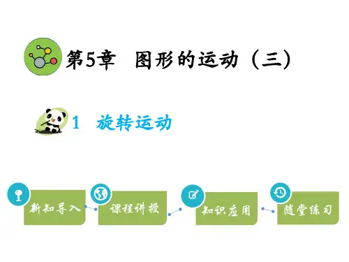 小学数学人教版五年级下第5章  图形的运动(三)课件(20张PPT)