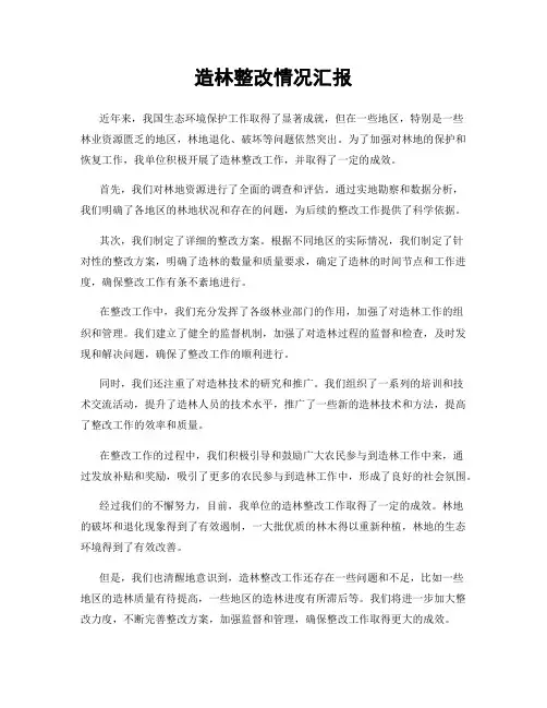 造林整改情况汇报