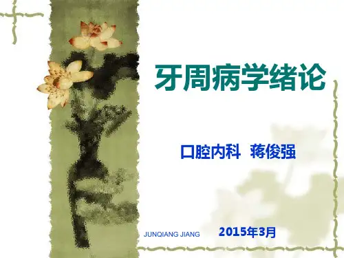 绪论及牙周组织的应用解剖详解