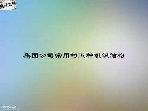 集团公司常用的五种组织结构