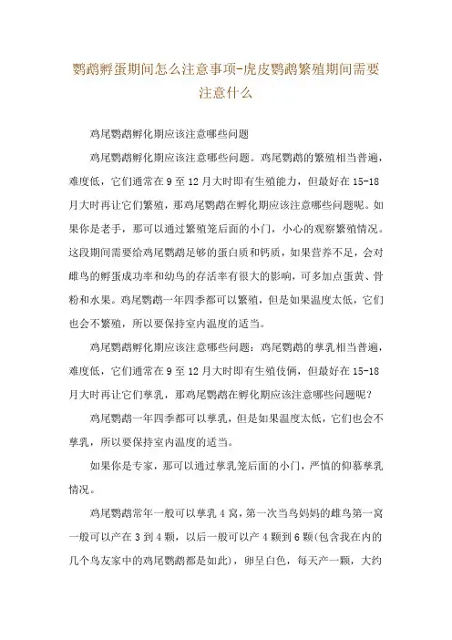 鹦鹉孵蛋期间怎么注意事项-虎皮鹦鹉繁殖期间需要注意什么