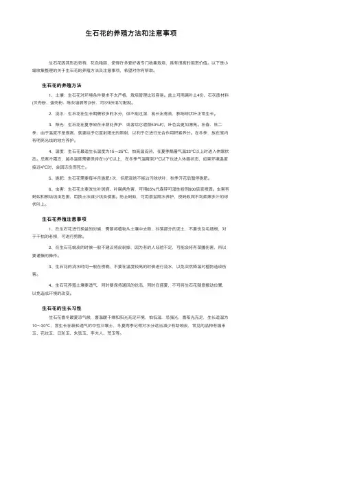生石花的养殖方法和注意事项