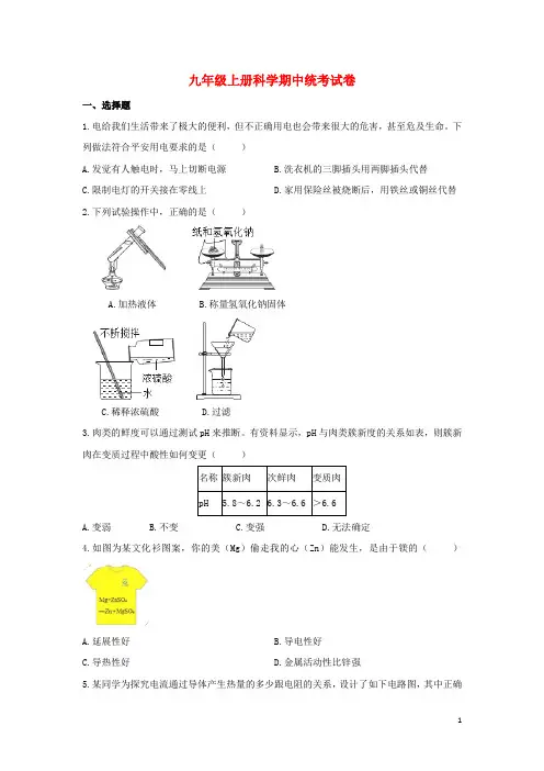 2024_2025学年九年级科学上学期期中检测卷4浙教版