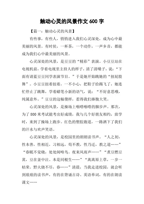 触动心灵的风景作文600字