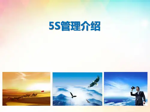 5S管理介绍(PPT57页).pptx