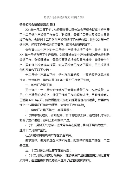 销售公司会议纪要范文（精选3篇）
