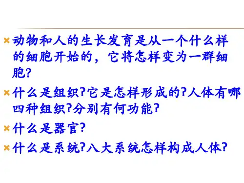 动物的层次结构