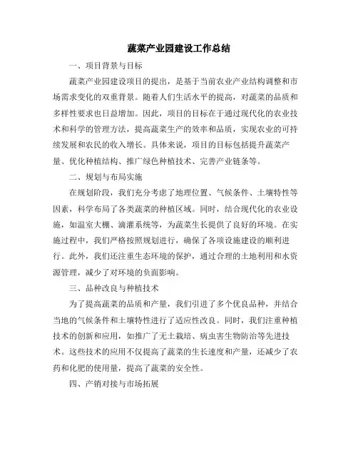 蔬菜产业园建设工作总结
