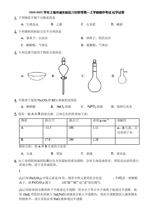 2024-2025学年上海市浦东新区六校联考高一上学期期中考试 化学试卷