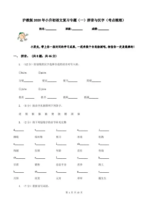沪教版2020年小升初语文复习专题(一)拼音与汉字(考点梳理)