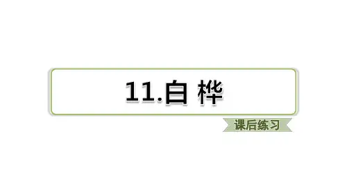 四年级下册语文习题第11课 白桦习题(课后练习)部编版