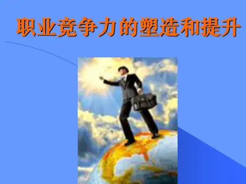 职业竞争力的塑造和提升教材(PPT 49页)