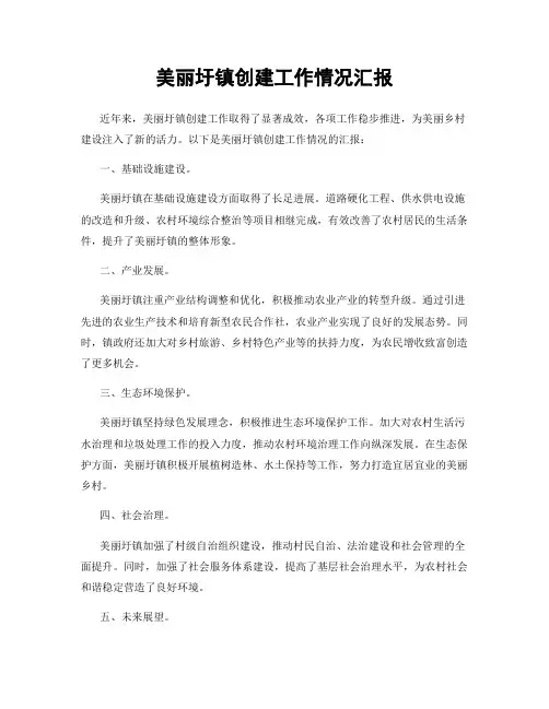 美丽圩镇创建工作情况汇报
