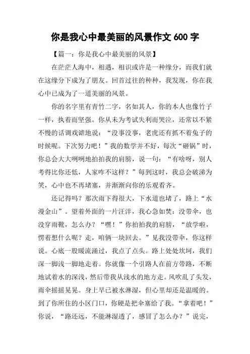 你是我心中最美丽的风景作文600字