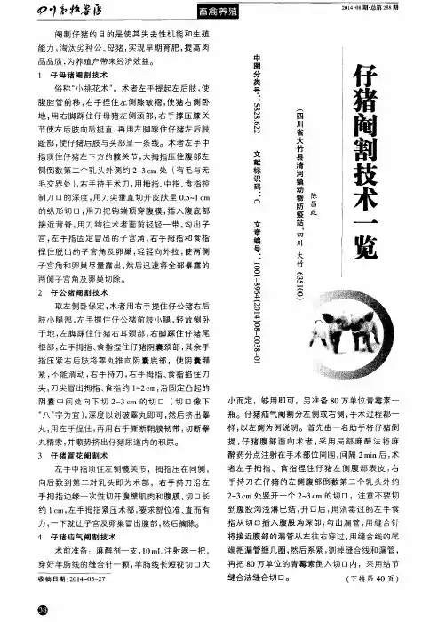 仔猪阉割技术一览