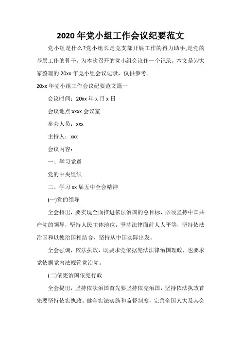 会议纪要 2020年党小组工作会议纪要范文