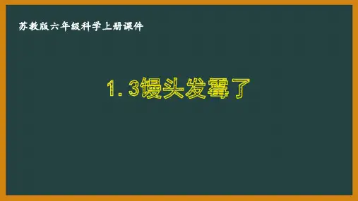 苏教版六年级科学上册第一单元《1.3馒头发霉了》优秀课件