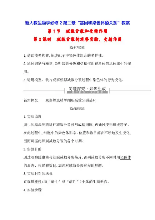 新人教生物学必修2教案：2-1 减数分裂和受精作用 第2课时 减数分裂的观察实验、受精作用