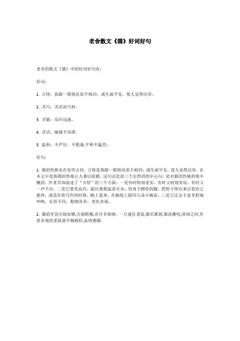 老舍散文《猫》好词好句