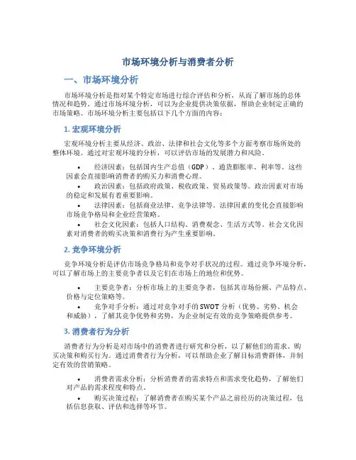 市场环境分析与消费者分析